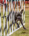 20190616-cckc-0884