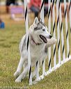 20190616-cckc-0909