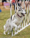 20190616-cckc-0910