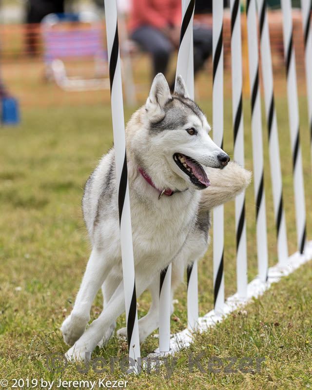 20190616-cckc-0909.jpg