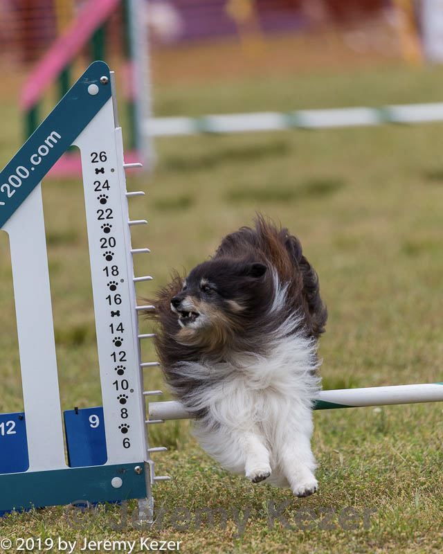 20190616-cckc-0915.jpg