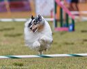 20190616-cckc-0934
