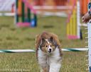 20190616-cckc-0943