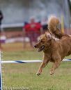 20190616-cckc-0972
