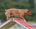 20190616-cckc-0020