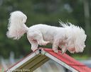 20190616-cckc-0029