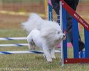 20190616-cckc-0032