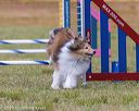 20190616-cckc-0043