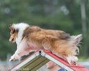 20190616-cckc-0045