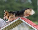 20190616-cckc-0060