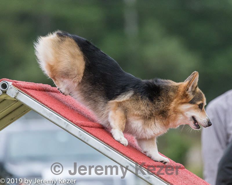 20190616-cckc-0055.jpg