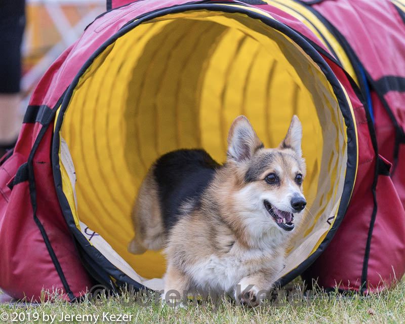 20190616-cckc-0067.jpg