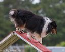 20190616-cckc-0071