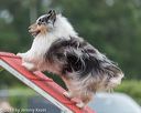 20190616-cckc-0089