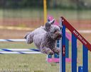 20190616-cckc-0136