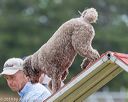 20190616-cckc-0140