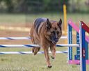 20190616-cckc-0153