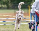 20190616-cckc-0171