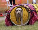 20190616-cckc-0178