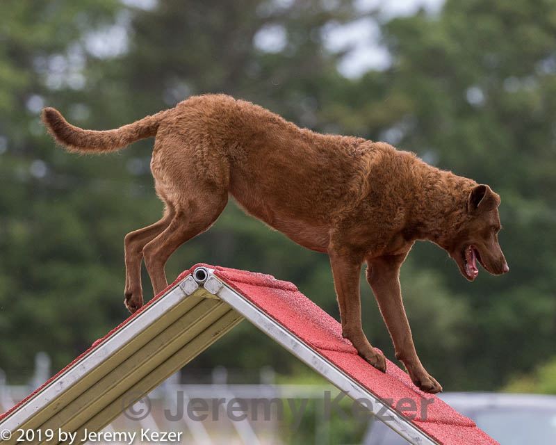 20190616-cckc-0189.jpg