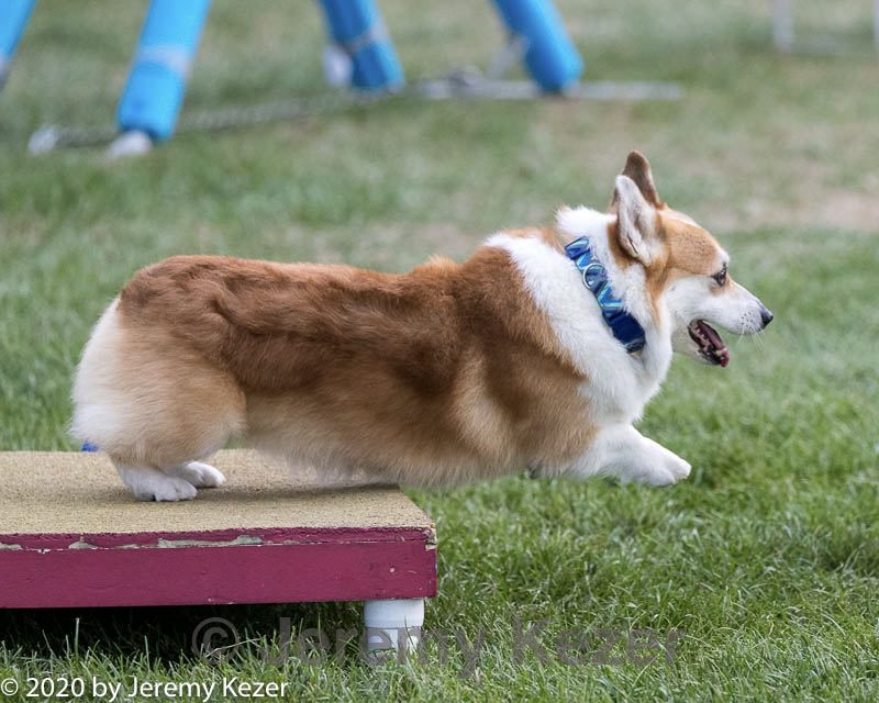 20200819-2728.jpg