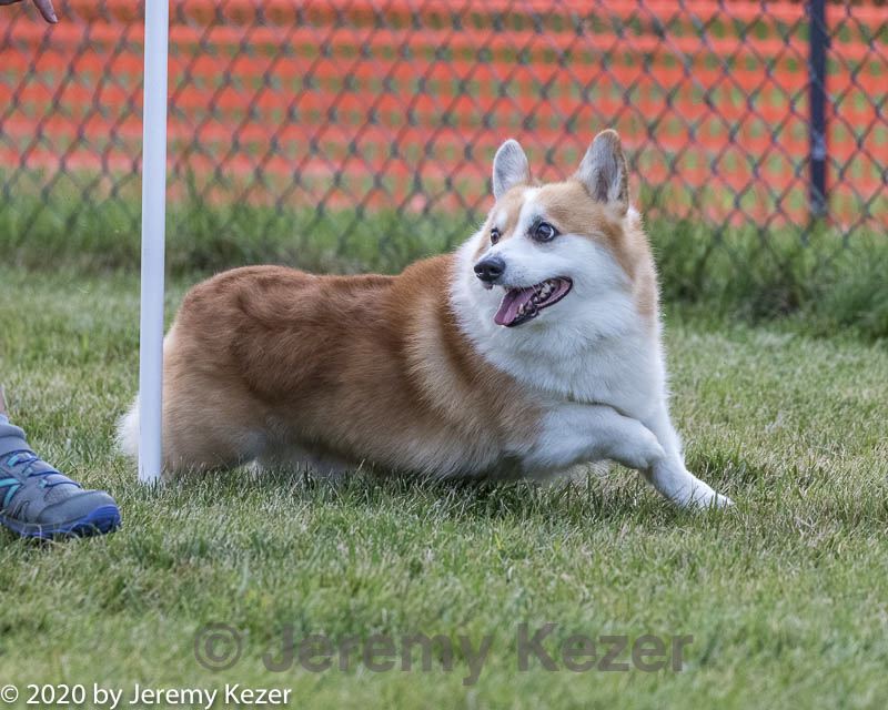 20200819-2736.jpg