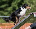 20200819-2169