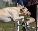 20220917-pvkc-0142