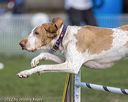 20220917-pvkc-0240