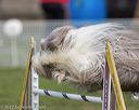 20220917-pvkc-0336