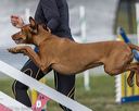 20220917-pvkc-0365