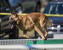 20220917-pvkc-1037
