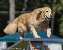 20220917-pvkc-1060