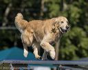 20220917-pvkc-1061