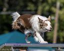20220917-pvkc-1068