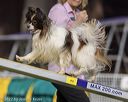 20220917-pvkc-1104