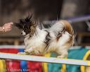 20220917-pvkc-1106