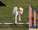 20220917-pvkc-1108