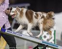 20220917-pvkc-1120