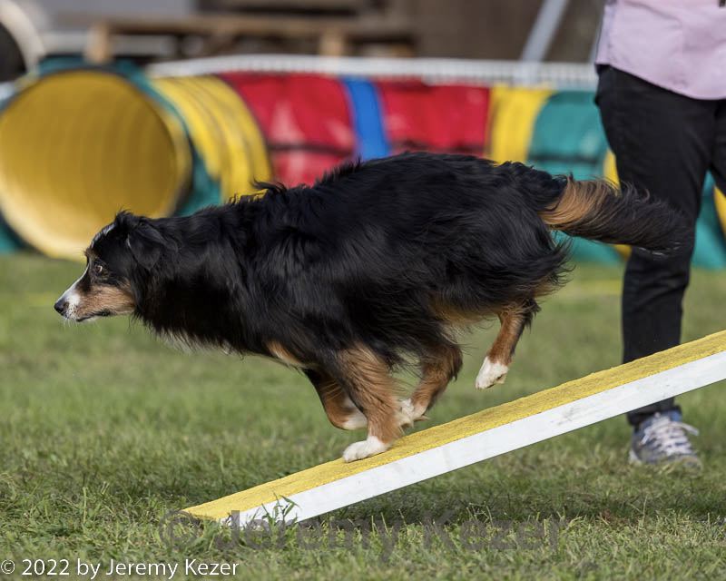 20220917-pvkc-1129.jpg