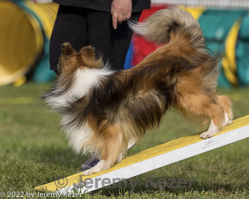 20220917-pvkc-1137.jpg
