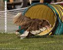 20220917-pvkc-1158
