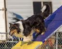 20220917-pvkc-1171