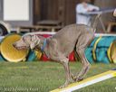 20220917-pvkc-1203