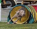 20220917-pvkc-1205
