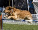 20220917-pvkc-1285