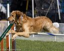 20220917-pvkc-1286