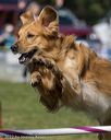 20220917-pvkc-1290