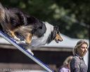 20220917-pvkc-1294