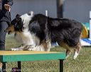 20220917-pvkc-1298